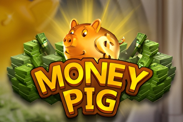 website moneypig